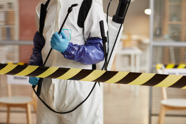Professional Sewage Cleanup technician working in Salem, VA
